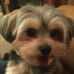 Meet your Posher, Terrie